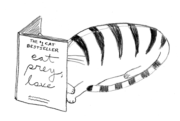 The #1 Cat Bestseller