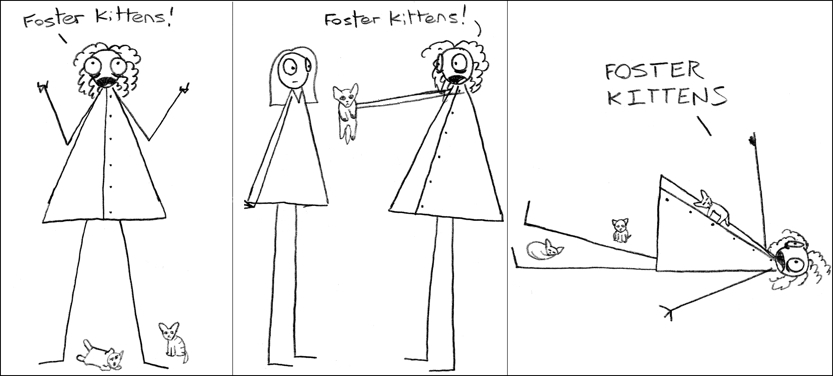 Foster kittens.